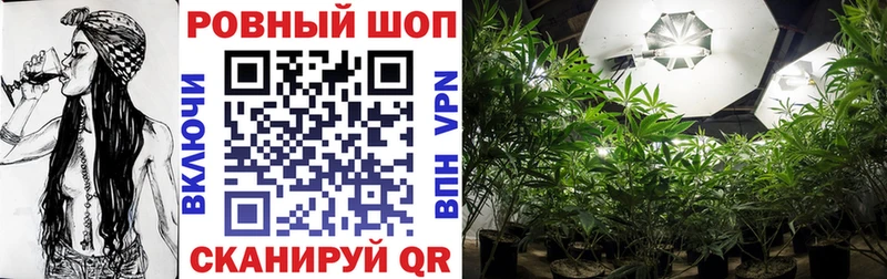 Купить наркотики цена Цоци-Юрт KRAKEN ТОР МЕФ ГАШ АМФ Бошки Шишки Галлюциногенные грибы A PVP Кокаин MDMA