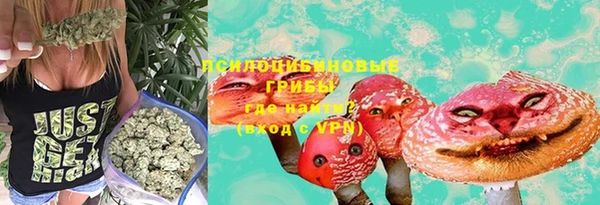 герыч Алексин