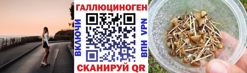 купить наркотик  Цоци-Юрт  Псилоцибиновые грибы прущие грибы 